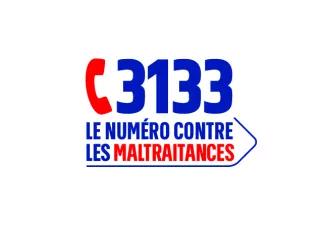 3133 logo