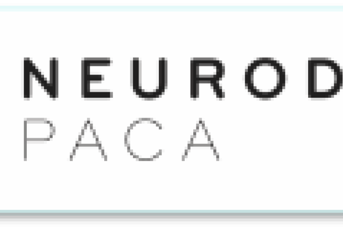 Logo Neurodys