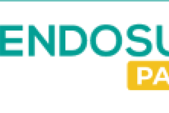 Logo Endosud