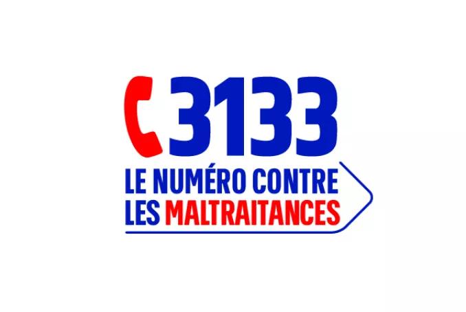 3133 logo