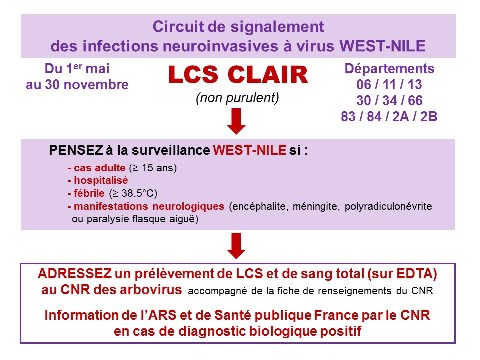 Logigramme West-Nile réduit