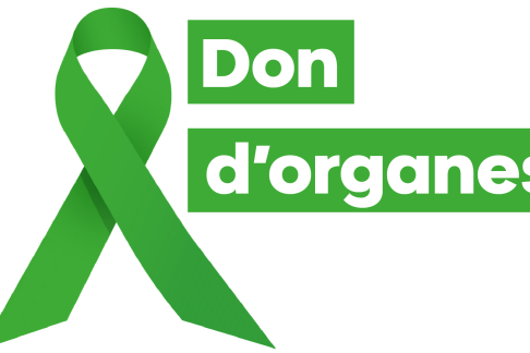 Don d'organes