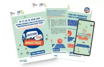 Zéro moustique