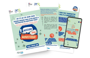 Zéro moustique