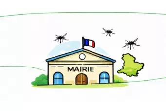 Collectivités 