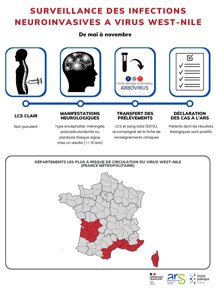 Infographie surveillance formes neuroinvasives VWN