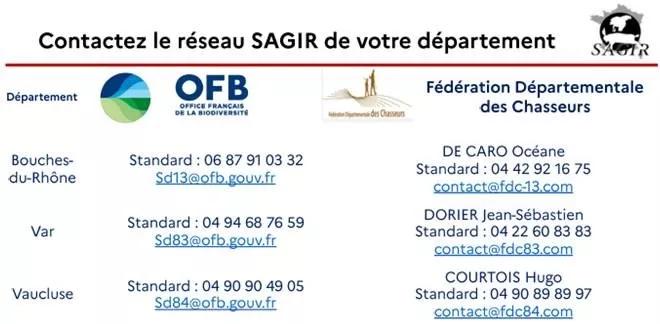 SAGIR, le réseau de surveillance des maladies de la faune sauvage