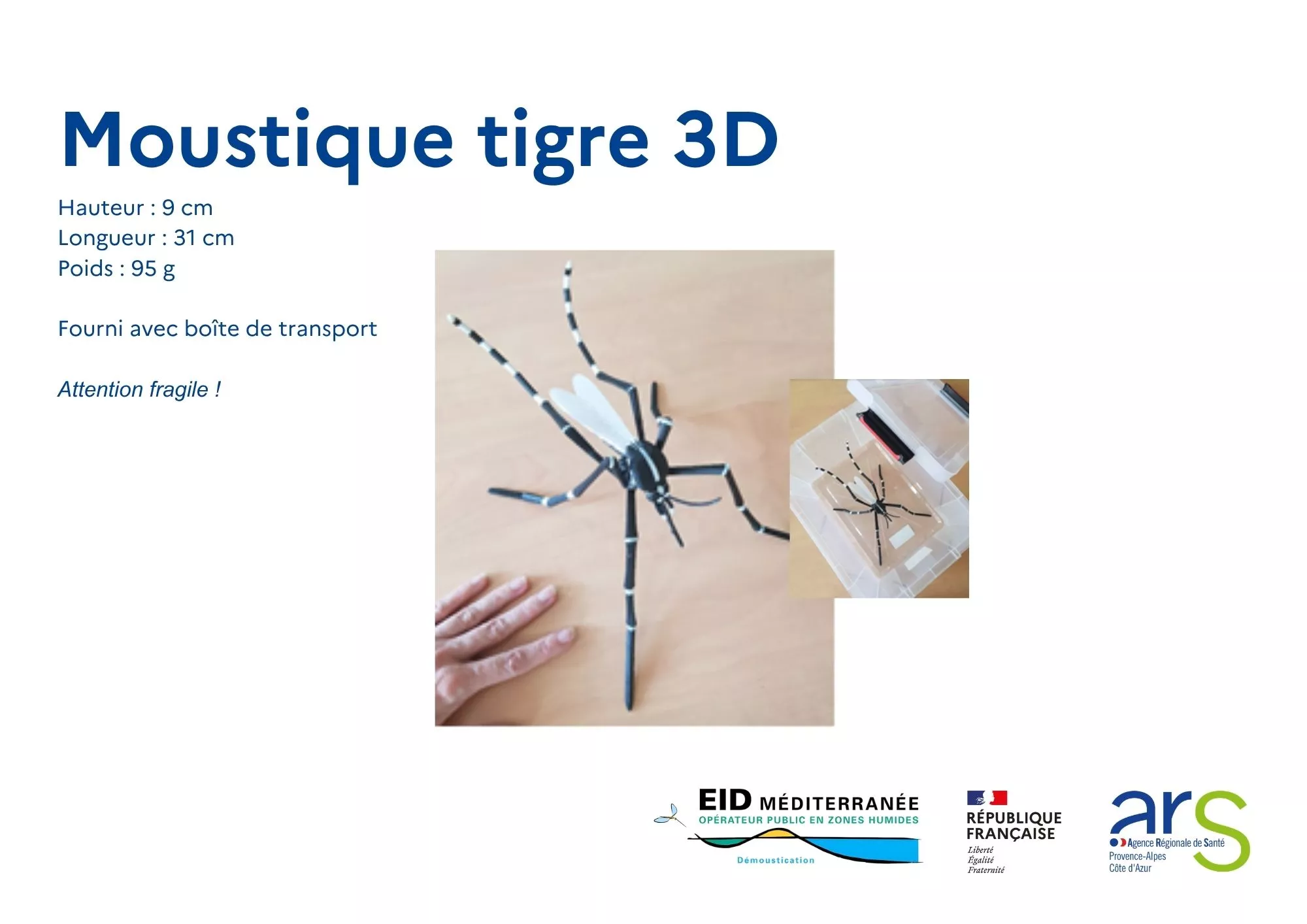 Moustique tigre 3D