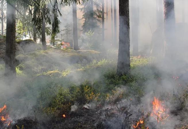 incendie
