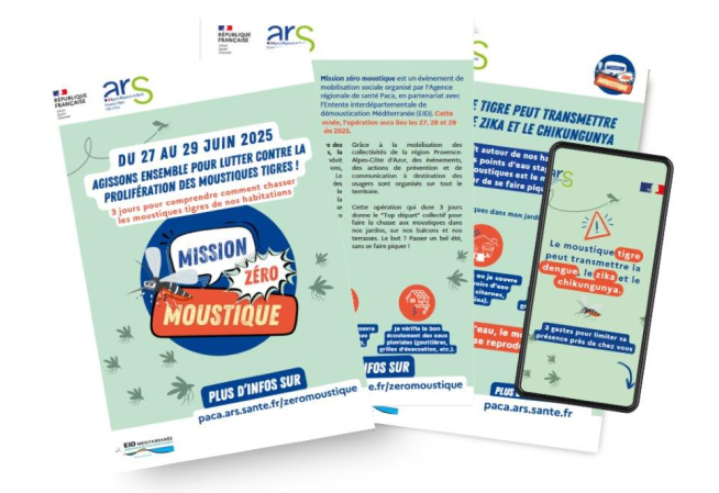 Zéro moustique