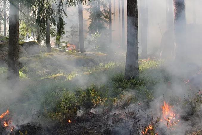 incendie