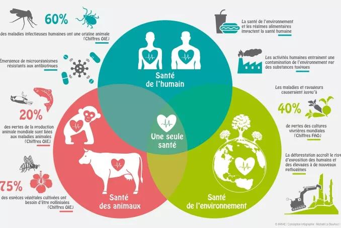 Une Seule Santé @INRAE