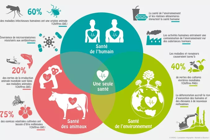 Une Seule Santé @INRAE