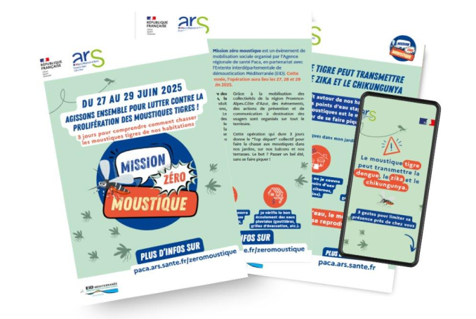 Zéro moustique